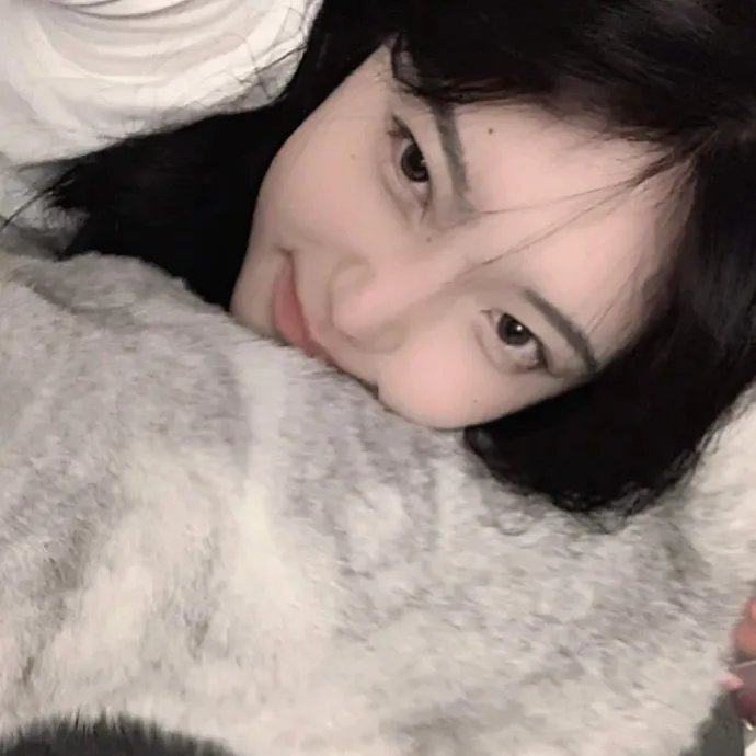 飞燕迎春